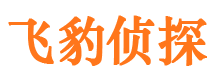 合作市私家侦探